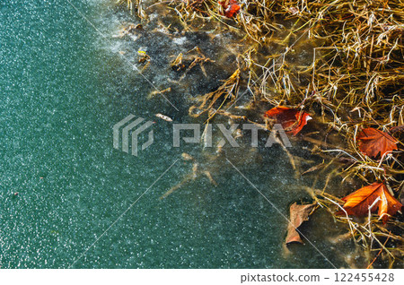 閃閃發光的冰凍湖面和落葉 閃閃發光的冰凍湖面和落葉 122455428