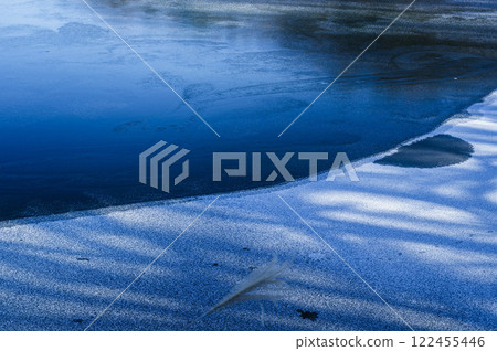 陽光透過樹木照射在冰凍的綠色湖面上 陽光透過樹木照射在冰凍的綠色湖面上 122455446