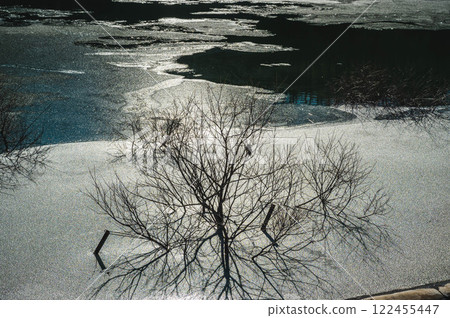 Frozen lake and delicate trees Frozen lake and delicate trees 122455447