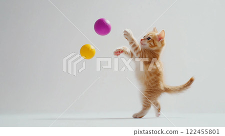 cat, pussy, ball 122455801