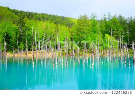 Platinum Blue Pond 122456258