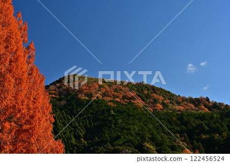 秋天的黑井城遺址 秋天的黑井城遺址 122456524