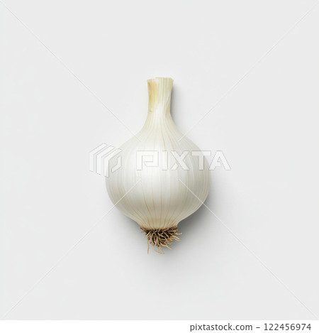 Fresh, organic garlic bulb on a neutral background. isolated on white background. 122456974
