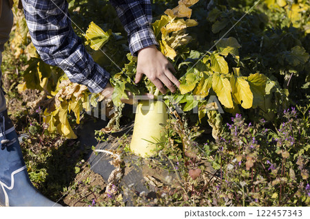 Scene of a woman working in the fields 122457343