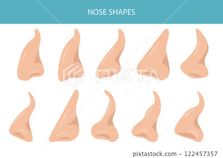 Shapes of nose anatomy. Nasal diseases. Medical infographic design Shapes of nose anatomy. Nasal diseases. Medical infographic design 122457357