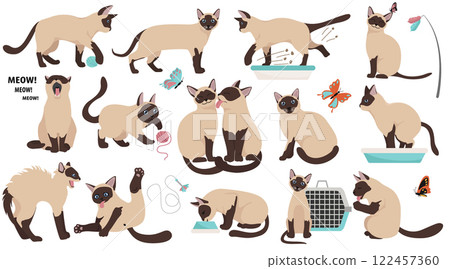 Cartoon cat characters collection. Different cat`s poses, yoga and emotions set. Flat color simple style design Cartoon cat characters collection. Different cat`s poses, yoga and emotions set. Flat color simple style design 122457360