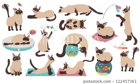 Cartoon cat characters collection. Different cat`s poses, yoga and emotions set. Flat color simple style design 122457361