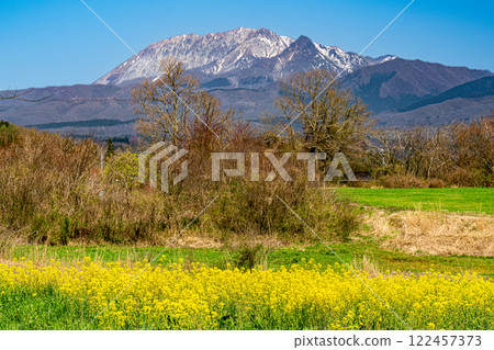 【日本百座名山】蒜山高原的春天：油菜花田和大山 2、岡山縣真庭市 122457373