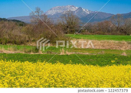 [Japan's 100 Famous Mountains] Spring in the Hiruzen Plateau: Rapeseed Fields and Mt. Daisen 8, Maniwa City, Okayama Prefecture 122457379