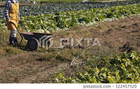 田間勞動的婦女風景 122457520