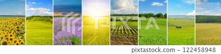 green field and blue sky with light clouds. Collage. Wide photo. green field and blue sky with light clouds. Collage. Wide photo. 122458948