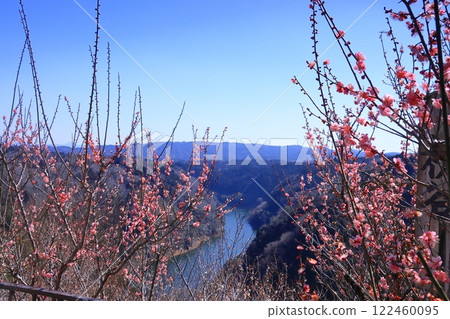Tsukigase Plum Grove (Nara City, Nara Prefecture) - a view from Hitome Hakkei 122460095