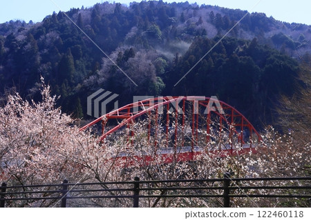 Tsukigase Plum Grove (Nara City, Nara Prefecture) Plum grove near Tsukigase Bridge 122460118
