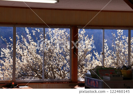 View from the window at Tsukigase Plum Grove (Nara City, Nara Prefecture) 122460145