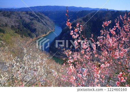 Tsukigase Plum Grove (Nara City, Nara Prefecture) View from Houra Plum Grove Tsukigase Plum Grove (Nara City, Nara Prefecture) View from Houra Plum Grove 122460160