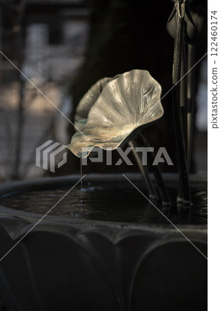 Scenery of Arai Yakushi, lotus object, Nakano-ku, Tokyo 122460174