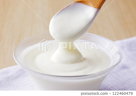 Yogurt Yogurt 122460479