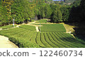 [Shizuoka] Mountain tea fields 122460734