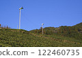 [Shizuoka] Mountain tea fields 122460735