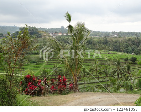 Beautiful countryside in Bali Beautiful countryside in Bali 122461055