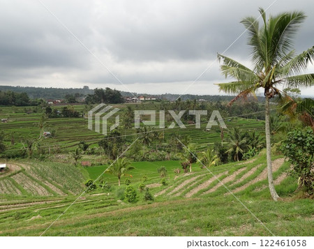 Countryside scenery in Bali 122461058