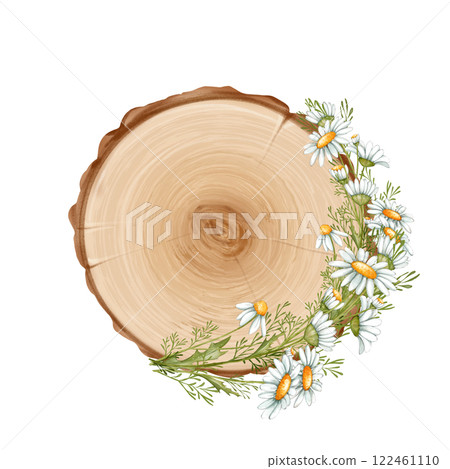 Wooden signboard with daisy flowers. Signs with place for messages. Wooden signboard with daisy flowers. Signs with place for messages. 122461110