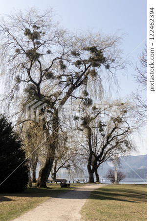 Panorama of lake Tegernsee, Bavaria, Germany 122462394
