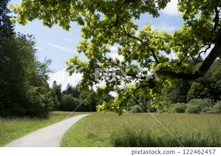 Hiking trail from Schaftlarn to Andechs, Munich Way of St. James, Bavaria, Germany 122462457