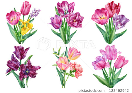 watercolor bouquet with pink tulips, yellow iris and lavender, hand-painted floral botanical design isolated Set flowers watercolor bouquet with pink tulips, yellow iris and lavender, hand-painted floral botanical design isolated Set flowers 122462942
