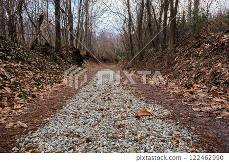 footpath that goes into the woods in winter with bare trees and dry leaves on the ground footpath that goes into the woods in winter with bare trees and dry leaves on the ground 122462990