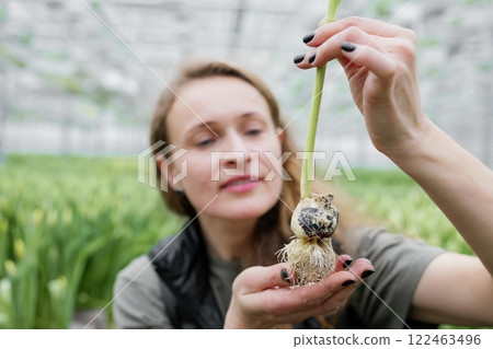 Woman planting flower bulbs in soil for growing in a greenhouse 122463496