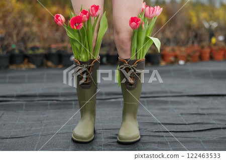 Woman in rubber boots walking across greenhouse with beautiful tulips in boots Woman in rubber boots walking across greenhouse with beautiful tulips in boots 122463533