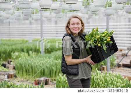 Young woman standing in greenhouse with box with tulips. Concept work in the greenhouse Young woman standing in greenhouse with box with tulips. Concept work in the greenhouse 122463646