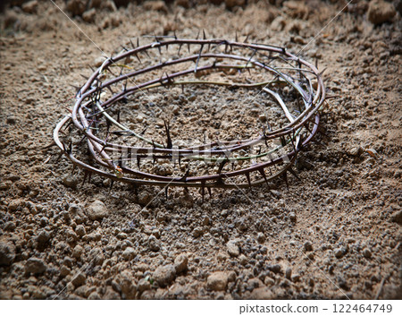 Thorn wreath with crown shadow Thorn wreath with crown shadow 122464749