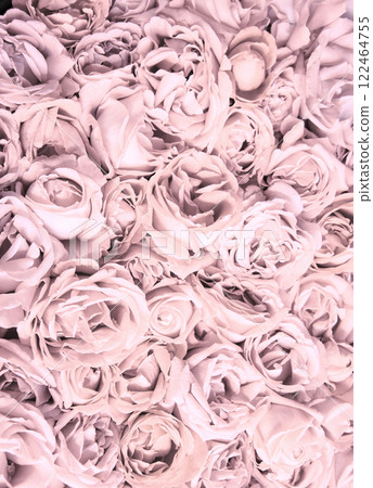 Natural background of rose petals Natural background of rose petals 122464755