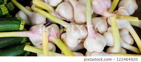 Close-up detail view pile many fresh young green white local farmer's garlic bulbs street market retail counter on sunny day. Local domestic organic plant vegetables at store. Sustainable agriculture Close-up detail view pile many fresh young green white local farmer's garlic bulbs street market retail counter on sunny day. Local domestic organic plant vegetables at store. Sustainable agriculture 122464920