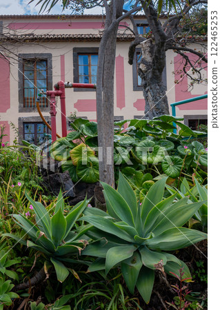 Greenery and architecture, Madeira, Portugal Greenery and architecture, Madeira, Portugal 122465253