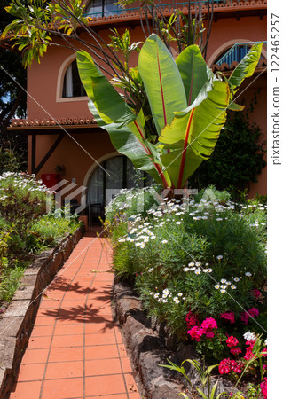 Patio of a botanical garden, Madeira, Portugal Patio of a botanical garden, Madeira, Portugal 122465257