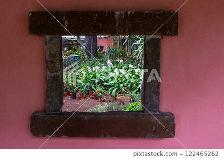 Window and greenery, Canico, Madeira, Portugal 122465262