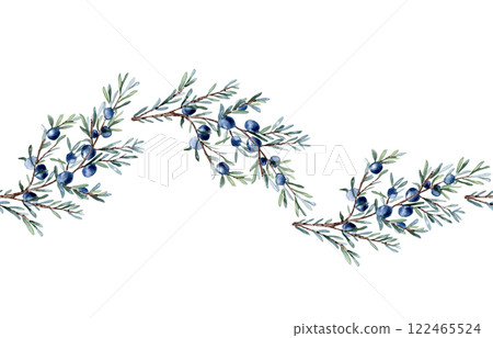 Juniper branch and berries watercolor seamless border isolated on white. Greenery coniferous in soft colors hand drawn. Delicate evergreen plant twig repeated pattern for label gin, foliage design. 122465524