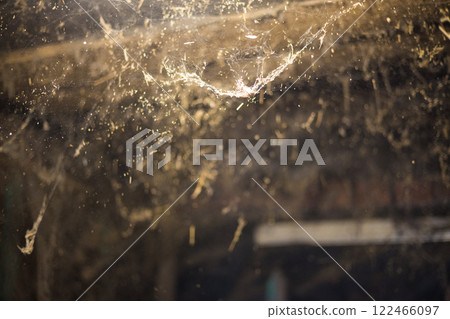 Web in the barn. Sunbeams illuminating floating dust particles and cobwebs hanging in a dark, abandoned barn interior, creating an eerie and haunting atmosphere filled with neglect and decay. 122466097