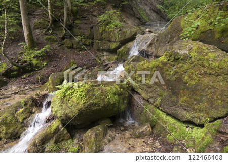 Feuersteinschlucht, Munich Way of St. James, Bavaria, Germany 122466408