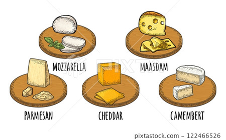 Cheese maasdam, mozzarella, cheddar, parmesan, camembert on wood board. Vector engraving 122466526