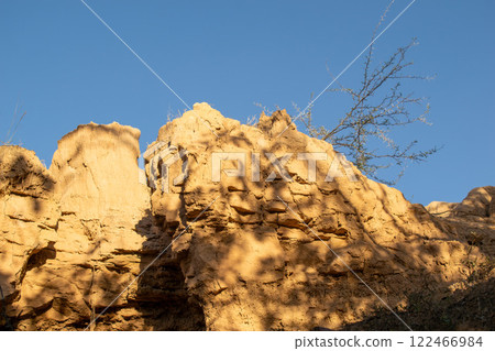 Tatacoa Desert, arid lands of the tropical dry forest in Colombia Tatacoa Desert, arid lands of the tropical dry forest in Colombia 122466984