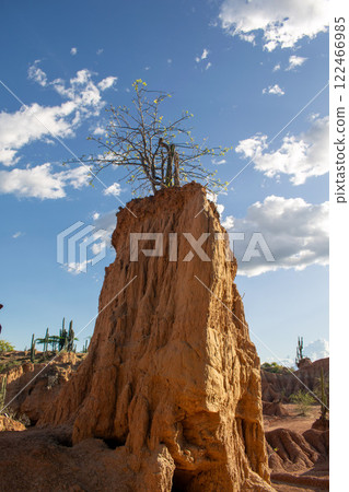 Tatacoa Desert, arid lands of the tropical dry forest in Colombia Tatacoa Desert, arid lands of the tropical dry forest in Colombia 122466985