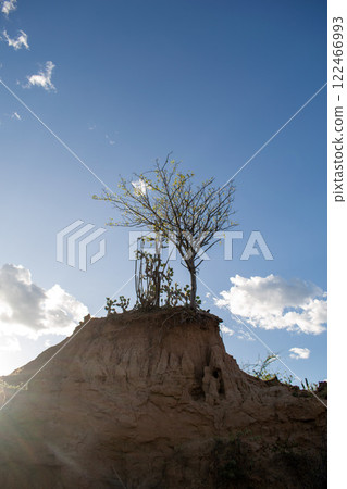 Tatacoa Desert, arid lands of the tropical dry forest in Colombia Tatacoa Desert, arid lands of the tropical dry forest in Colombia 122466993