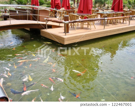 Outdoor seating area with wooden deck over koi pond, featuring chairs, tables, and red umbrellas. Serene and relaxing atmosphere Outdoor seating area with wooden deck over koi pond, featuring chairs, tables, and red umbrellas. Serene and relaxing atmosphere 122467001