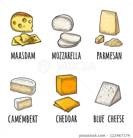 Pieces maasdam, mozzarella, cheddar, parmesan, camembert, blue cheese. Vector engraving 122467174