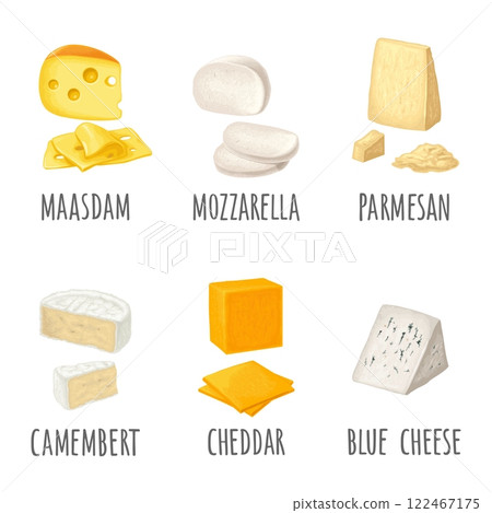 Pieces maasdam, mozzarella, cheddar, parmesan, camembert, blue cheese. Vector engraving 122467175
