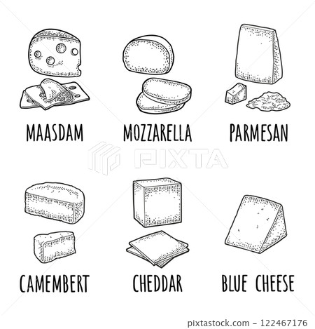 Pieces maasdam, mozzarella, cheddar, parmesan, camembert, blue cheese. Vector engraving 122467176